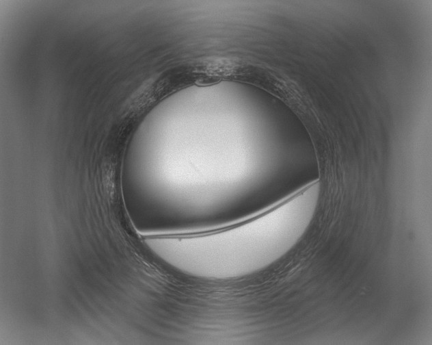X0000052590697200507010940
