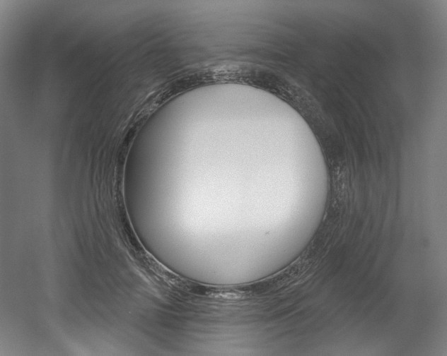 X0000052590698200507010940