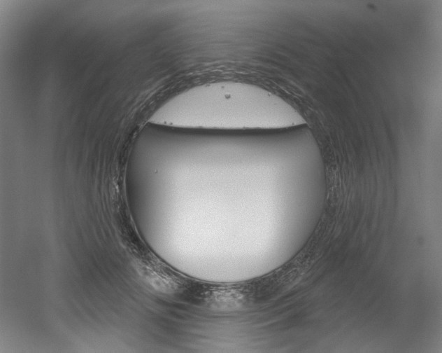 X0000052590702200507010940