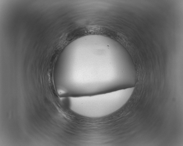 X0000052590703200507010940