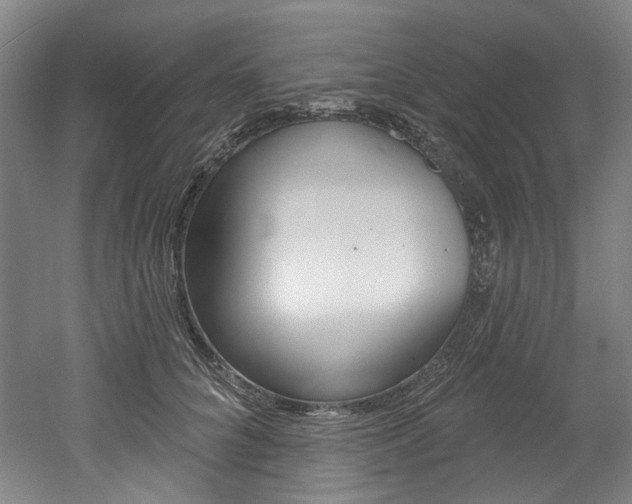 X0000052590704200507010940
