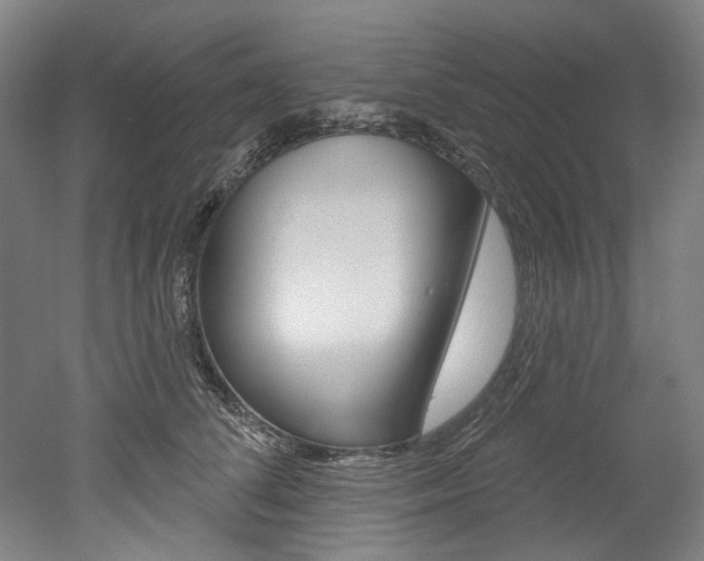 X0000052590708200507010940