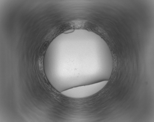 X0000052590709200507010939