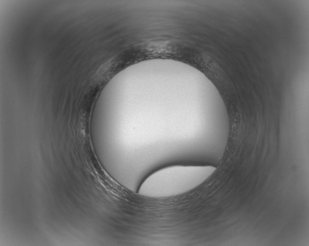 X0000052590710200507010939