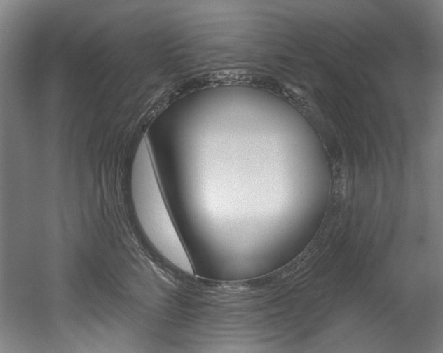 X0000052590712200507010939
