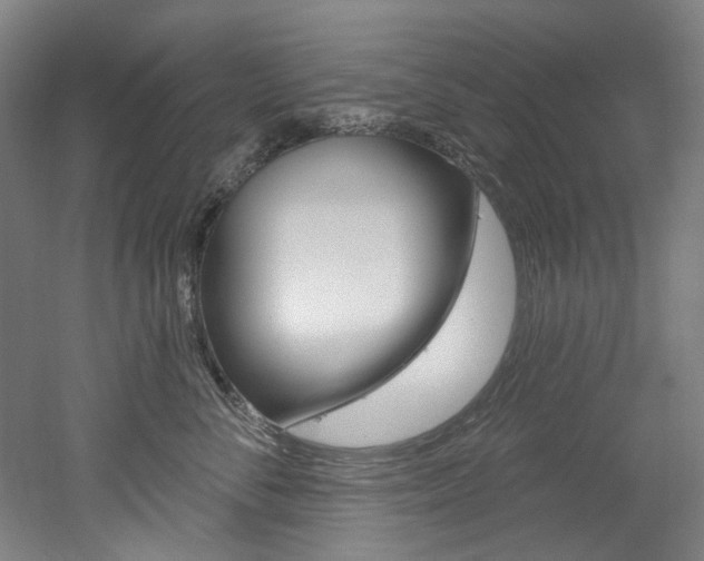 X0000052590716200507010939