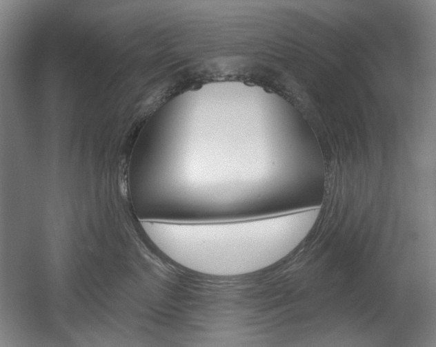 X0000052590719200507010939