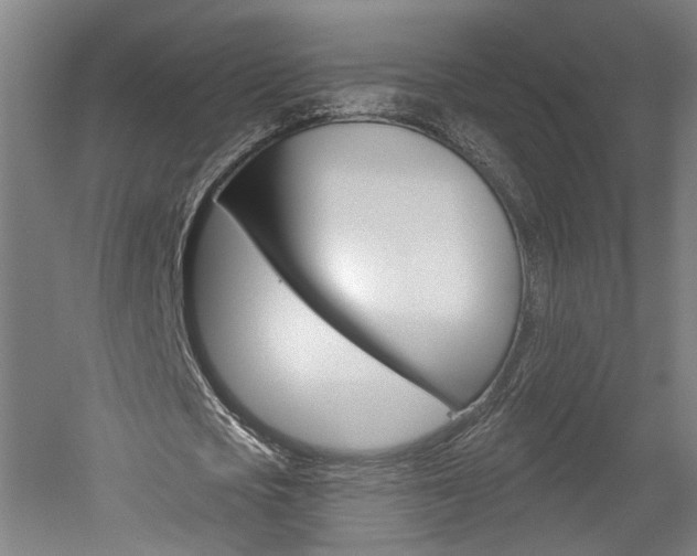 X0000052590721200507010938