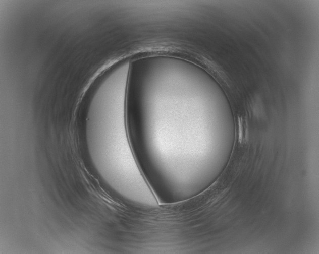 X0000052590723200507010939