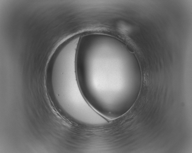 X0000052590724200507010939