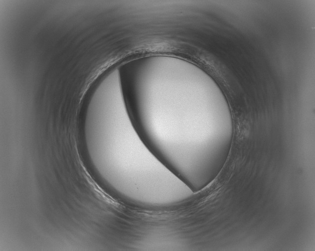 X0000052590725200507010939