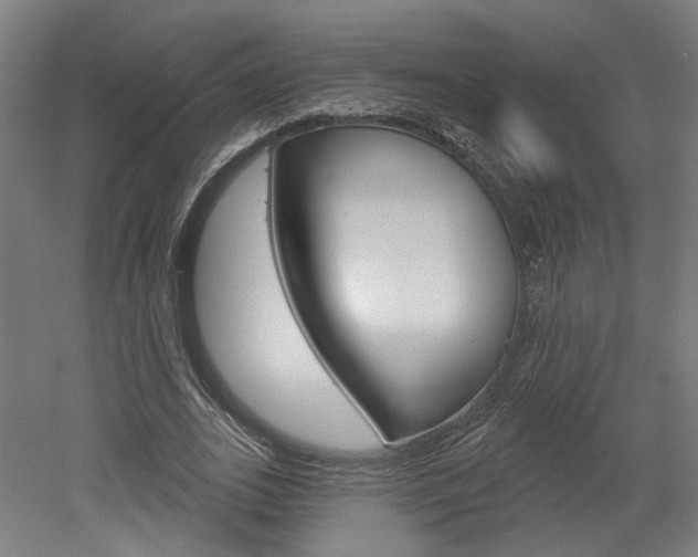 X0000052590727200507010939