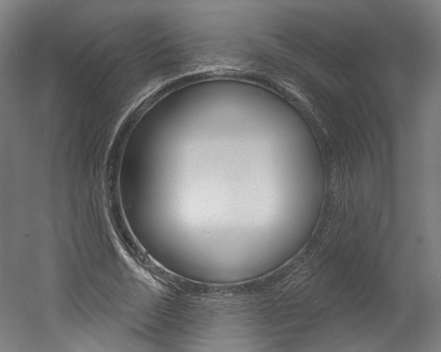 X0000052590730200507010939