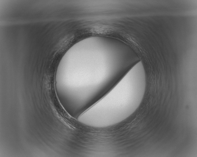 X0000052590738200507010939