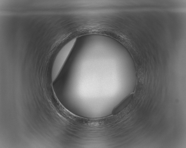 X0000052590740200507010939