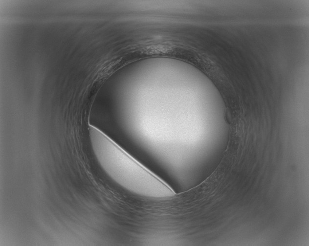 X0000052590743200507010939