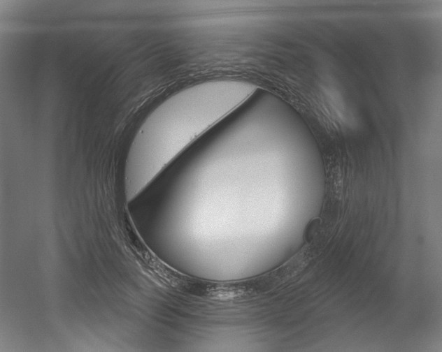 X0000052590746200507010939