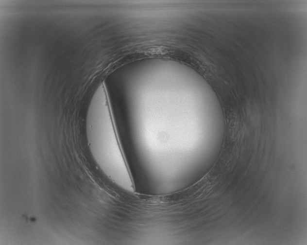 X0000052590747200507010939