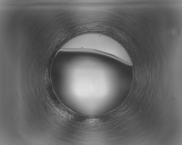 X0000052590748200507010939
