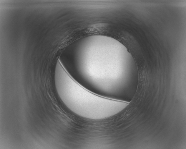 X0000052590751200507010939