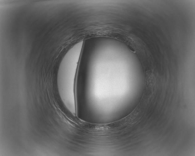 X0000052590752200507010939