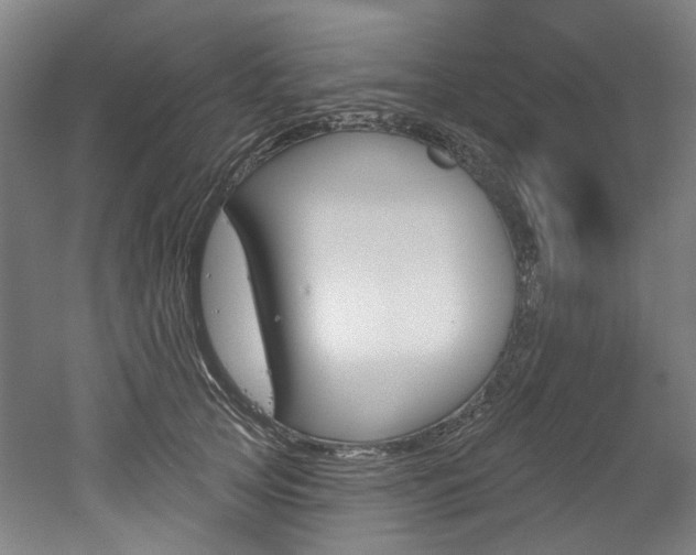 X0000052590753200507010939
