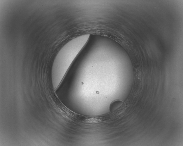 X0000052590754200507010939