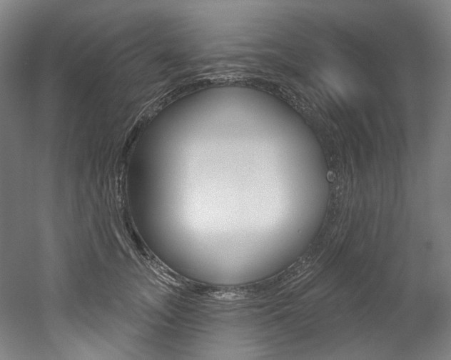 X0000052590755200507010939