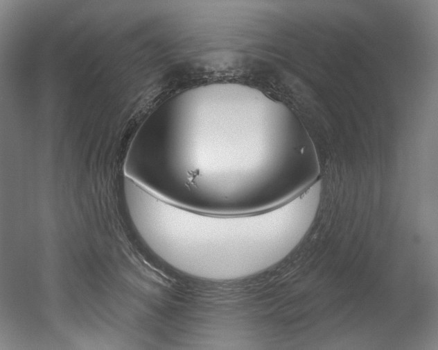 X0000052590756200507010939