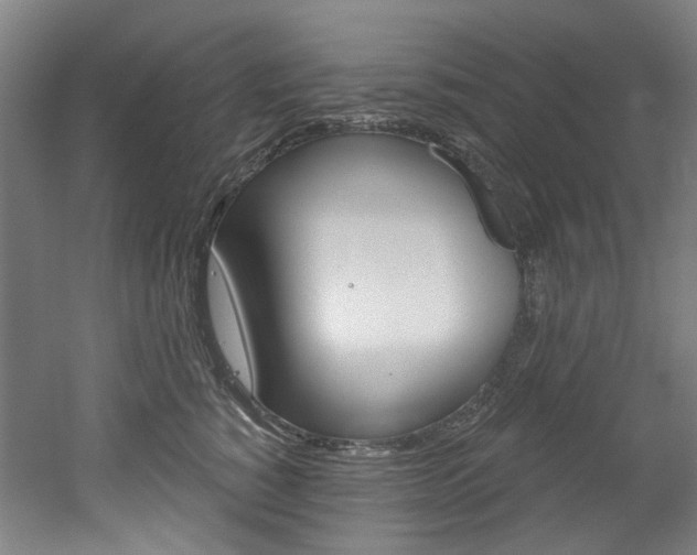 X0000052590760200507010939