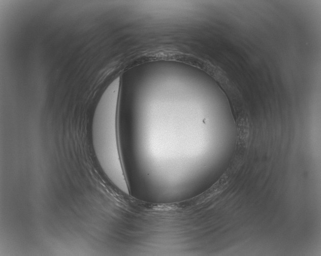 X0000052590762200507010939