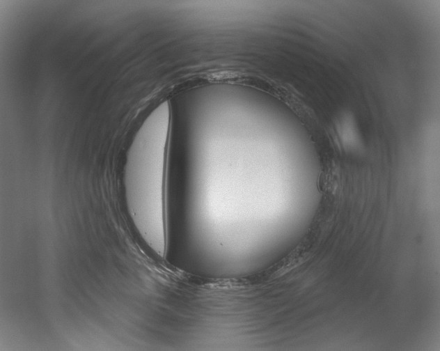 X0000052590763200507010939