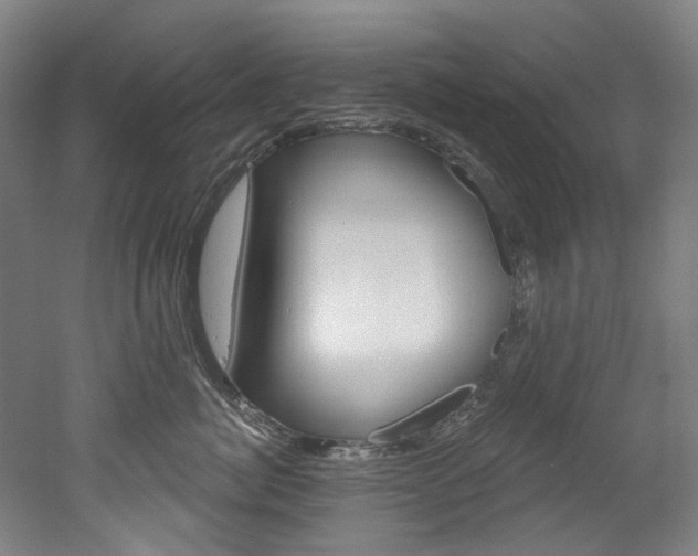 X0000052590764200507010939