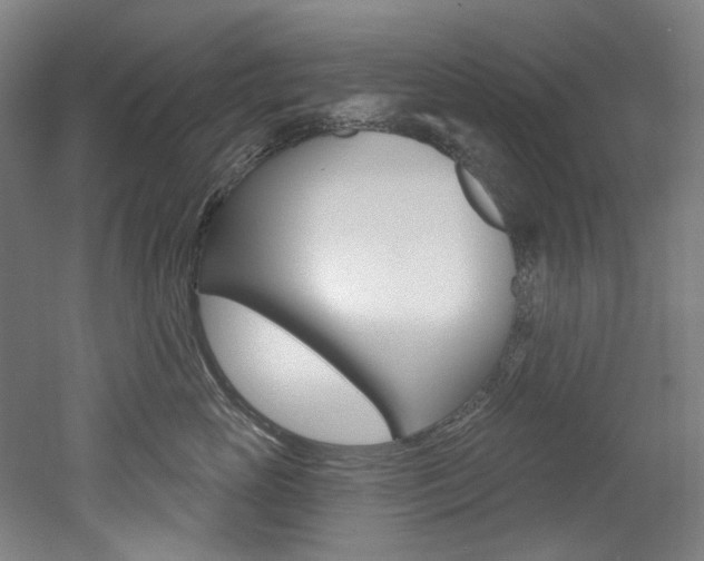 X0000052590765200507010939