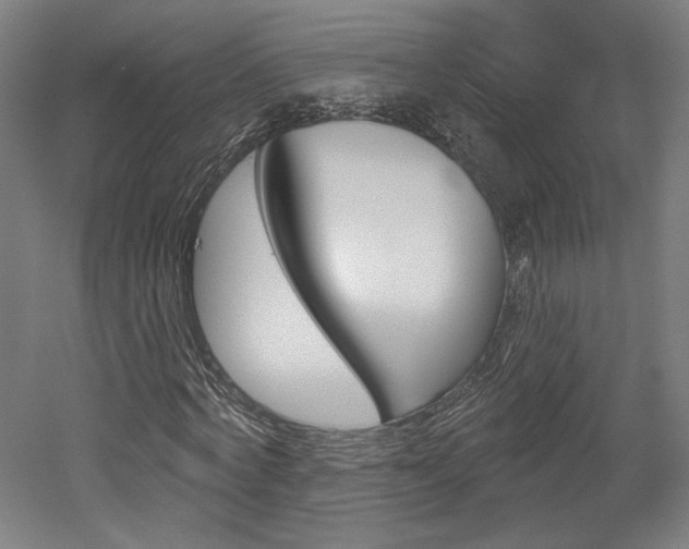 X0000052590772200507010938