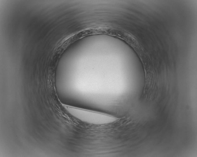 X0000052590773200507010938