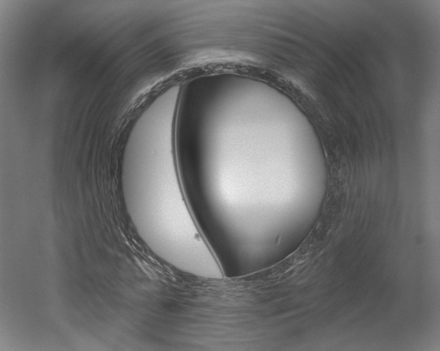 X0000052590775200507010938