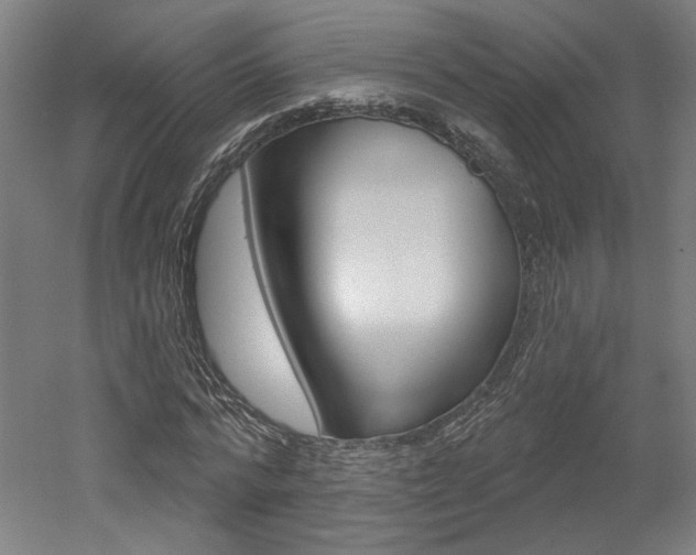 X0000052590776200507010938
