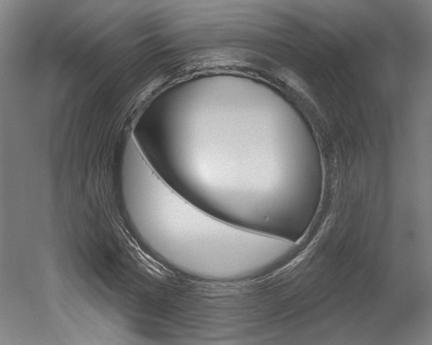 X0000052590777200507010938