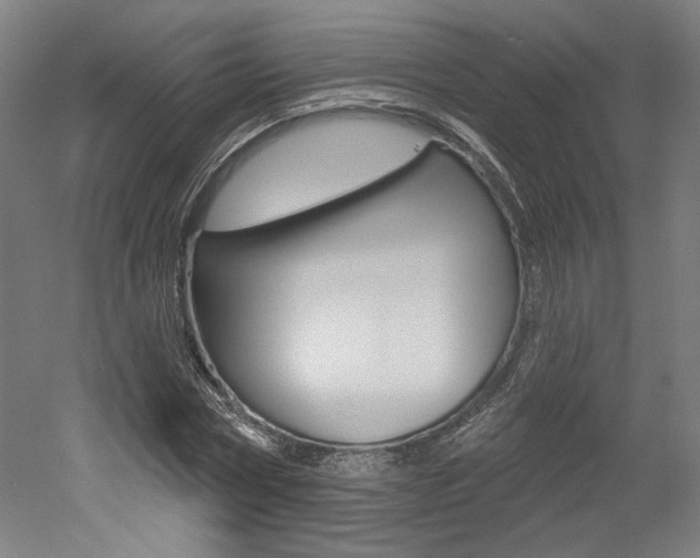 X0000052590778200507010938
