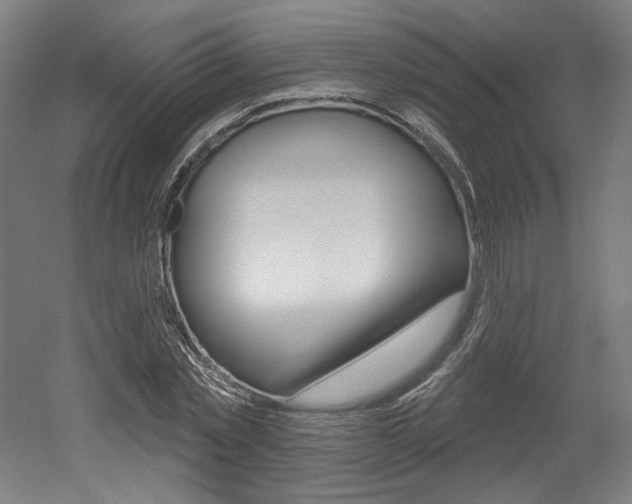 X0000052590781200507010938