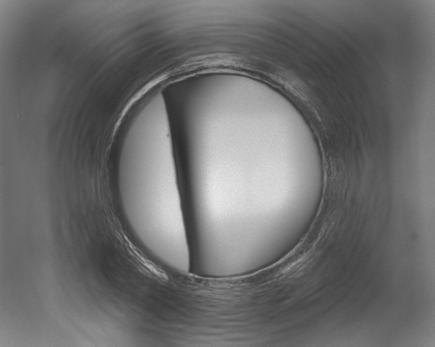 X0000052590782200507010938