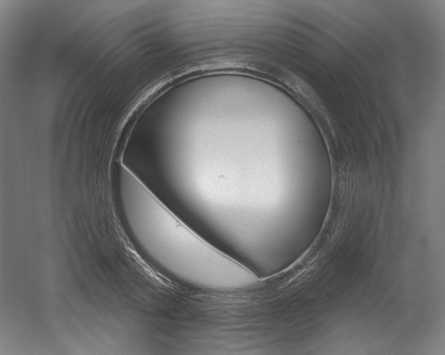 X0000052590789200507010938