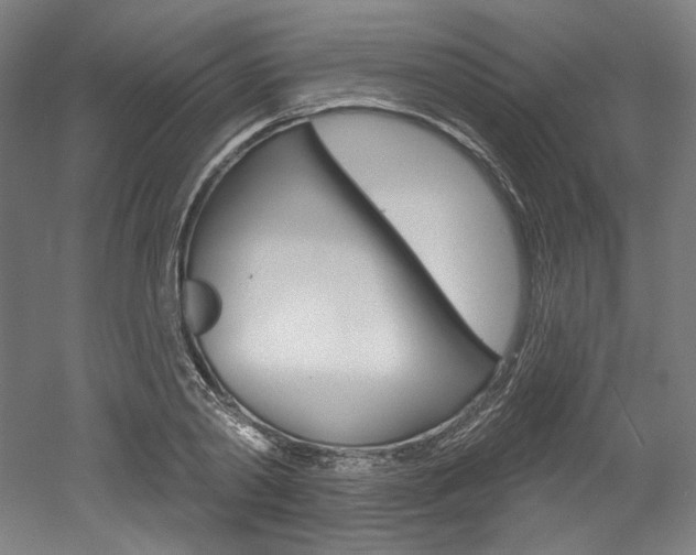 X0000052590790200507010938