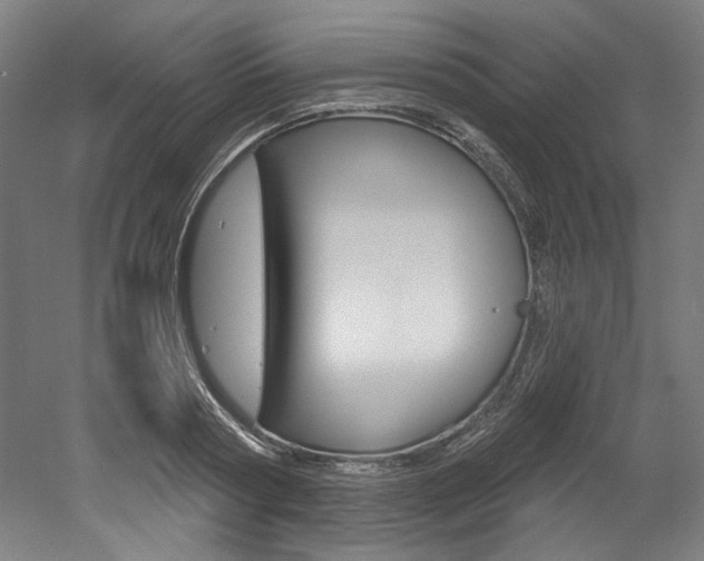 X0000052590794200507010938