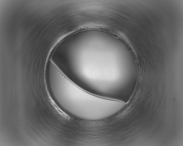 X0000052590795200507010938