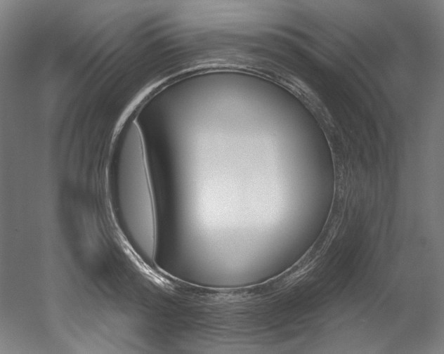 X0000052590796200507010938