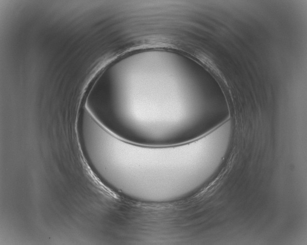 X0000052590797200507010938