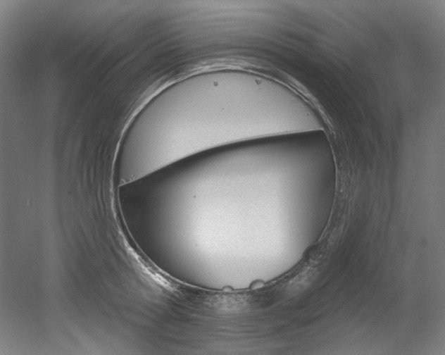 X0000052590802200507010938