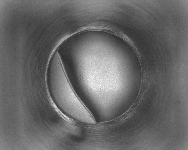X0000052590803200507010938
